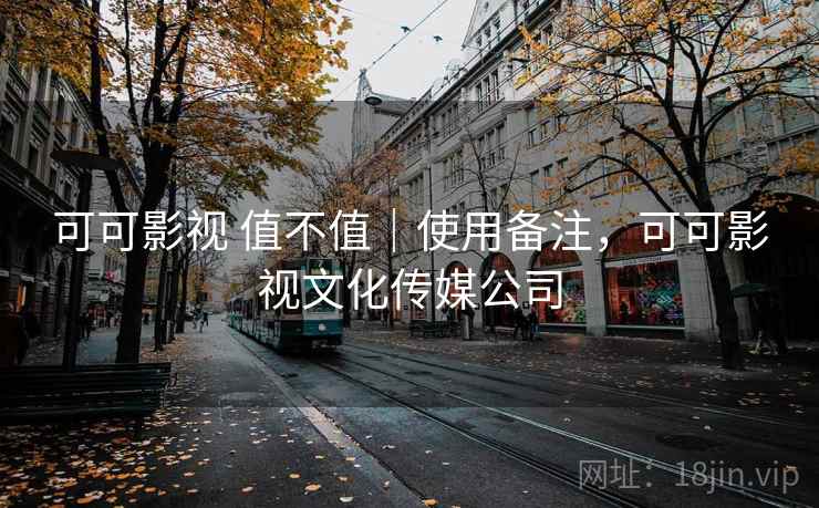 可可影视 值不值｜使用备注，可可影视文化传媒公司