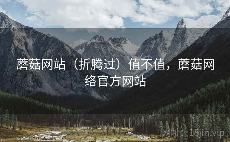 蘑菇网站（折腾过）值不值，蘑菇网络官方网站