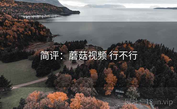 简评：蘑菇视频 行不行