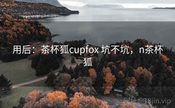 用后：茶杯狐cupfox 坑不坑，n茶杯狐